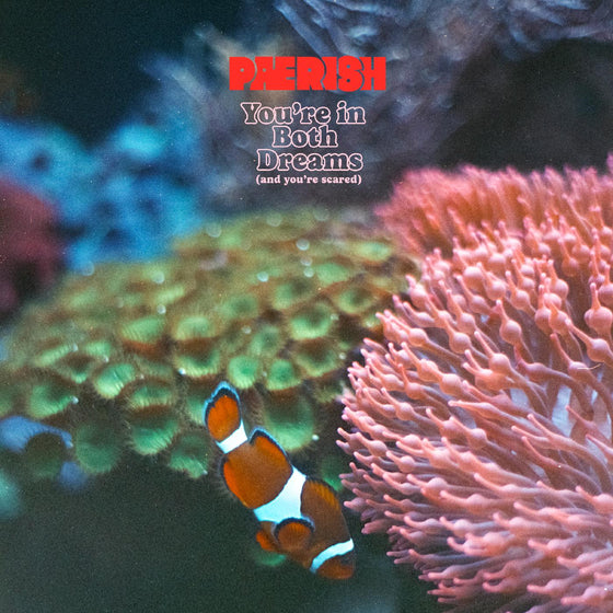 PAERISH - You're in both dreams (and you're scared) Vinyl LP