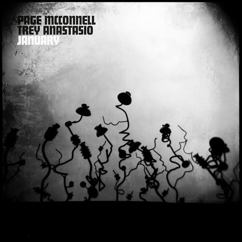 Page McConnell & Trey Anastasio - January Vinyl