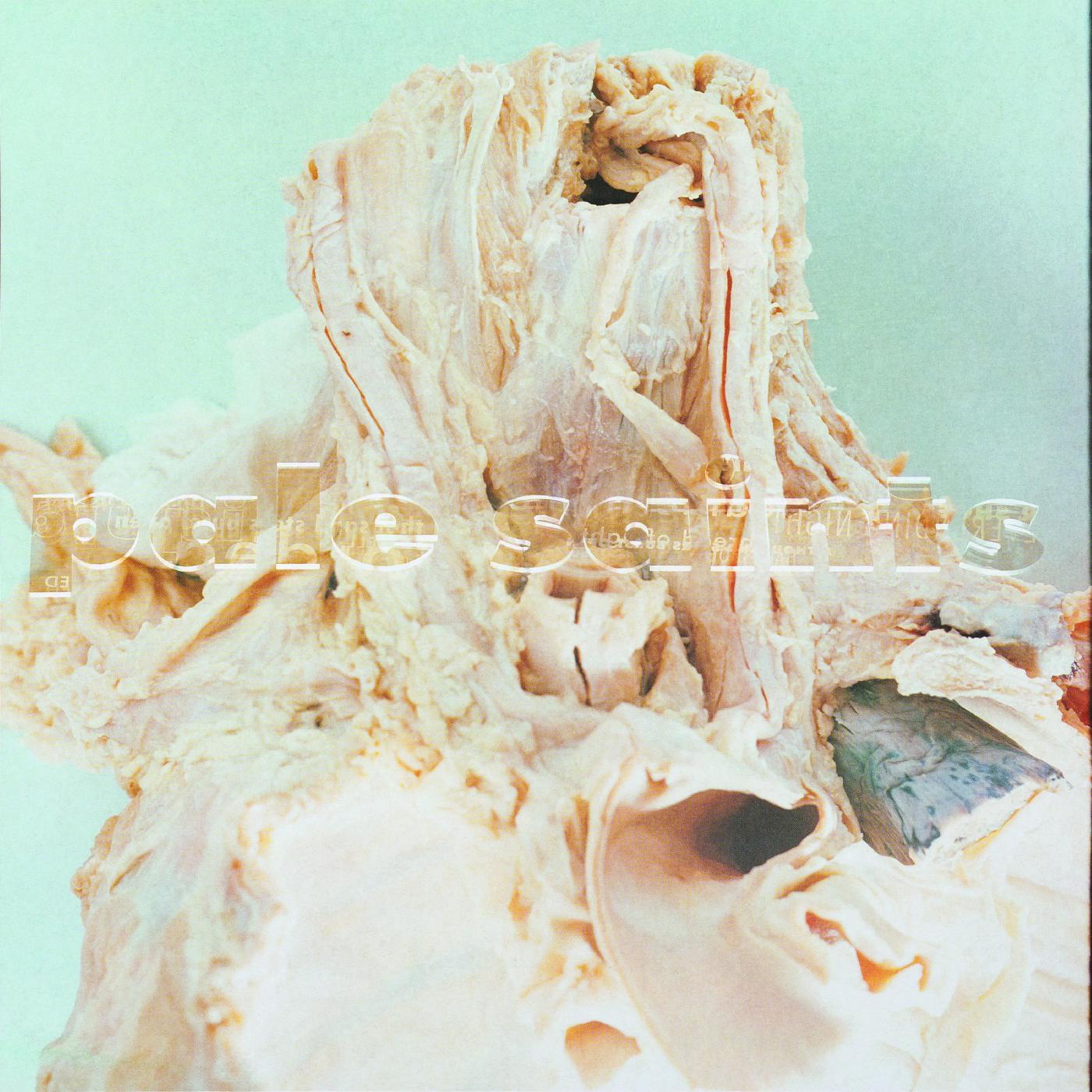Pale Saints - In Ribbons (DELUXE EDITION) Vinyl 2LP Pigment Free Vinyl, Gatefold Sleeve
