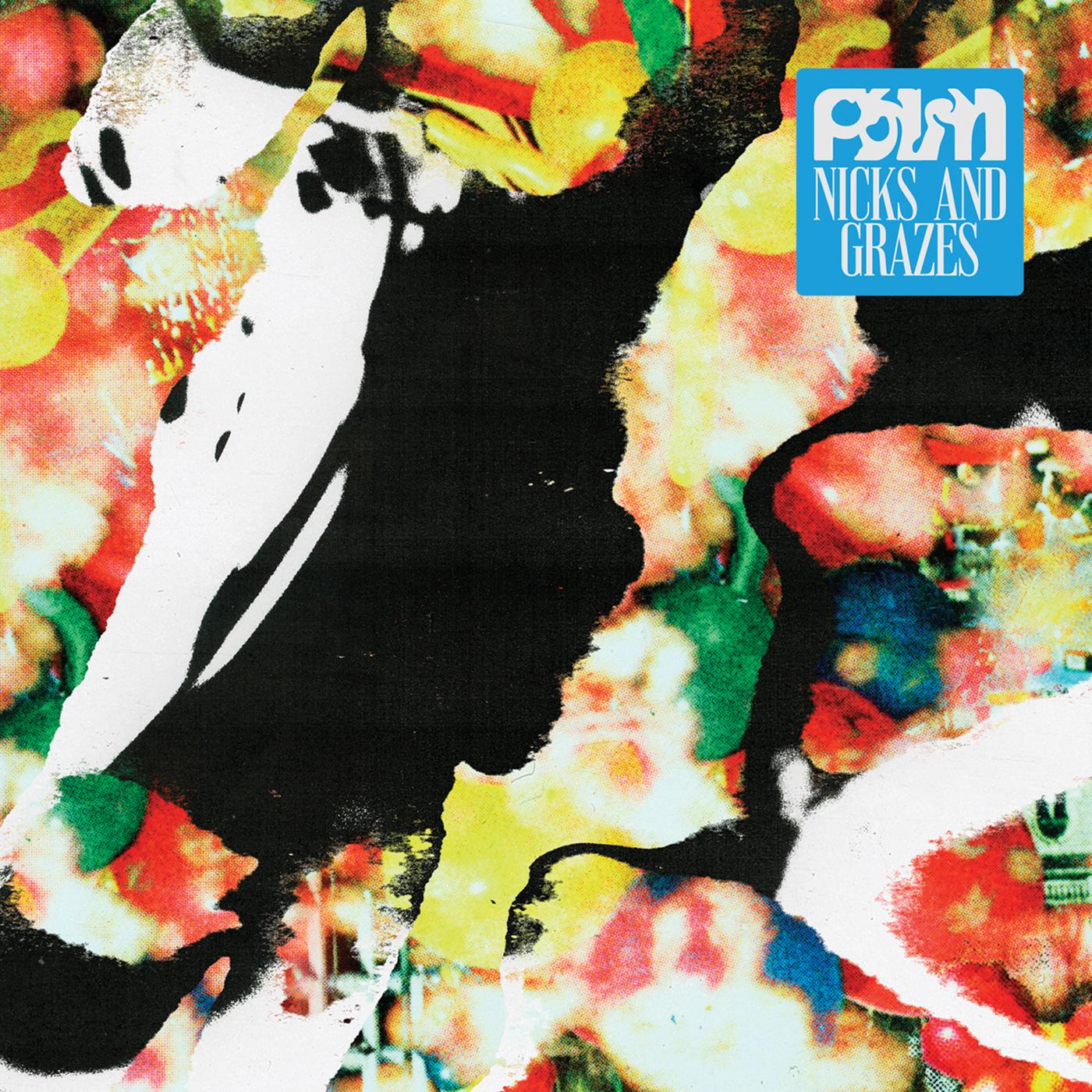 Palm - Nicks and Grazes Vinyl LP [w/ download card]