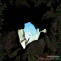 PANTALEIMON - The Butterfly Ate the Pearl Vinyl LP