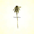 Patrick Watson - Wooden Arms CD CD 6-Panels - Digipak - Lyrics Booklet