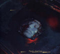 PAUL CORLEY - Disquiet CD CD