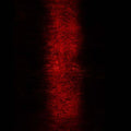 PAUL JEBANASAM - Rites CD CD
