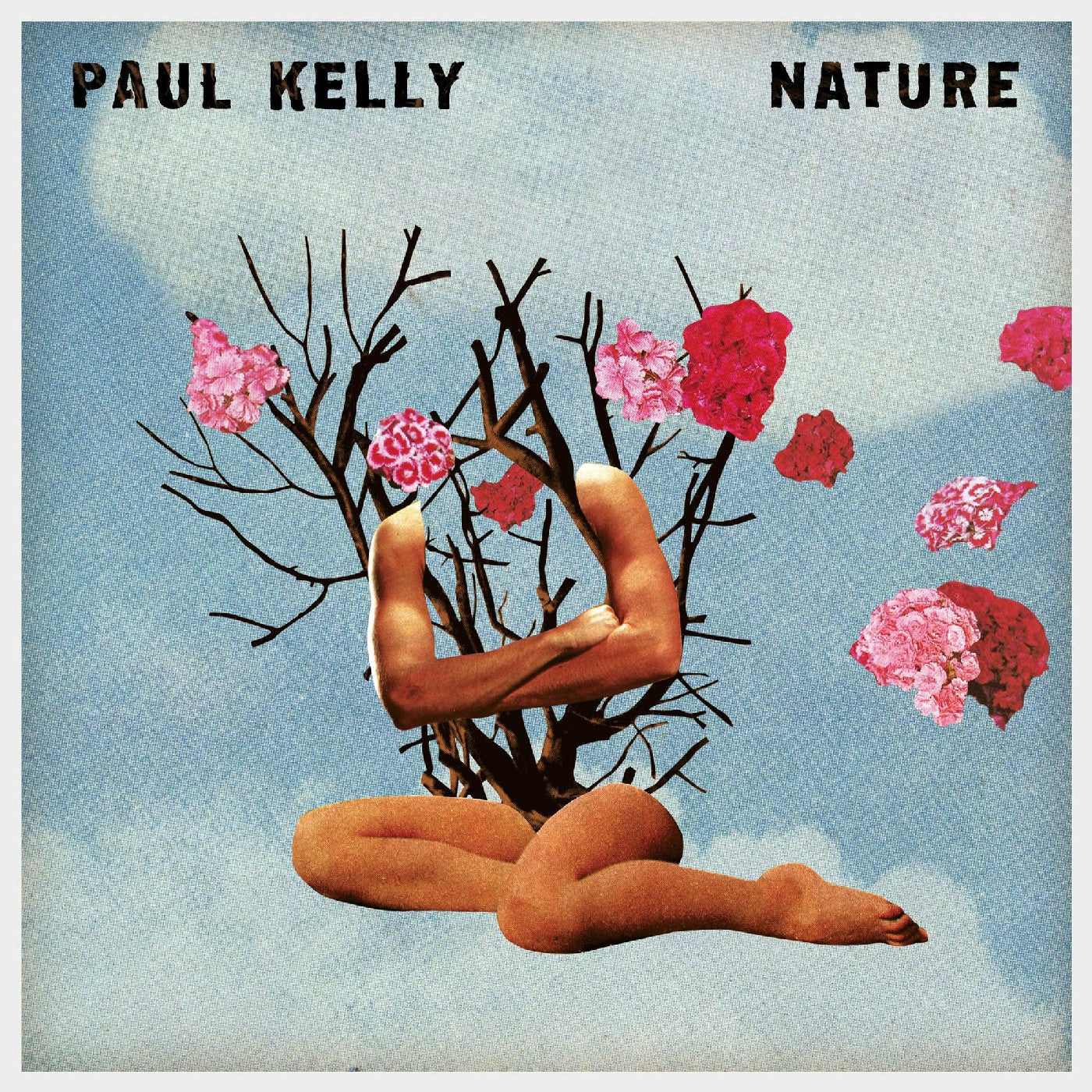 Paul Kelly - Nature Vinyl