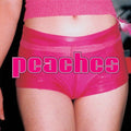 Peaches - The Teaches Of Peaches Vinyl LP standard Jacket
