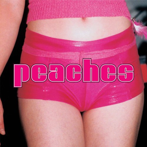 Peaches - The Teaches Of Peaches Vinyl LP standard Jacket