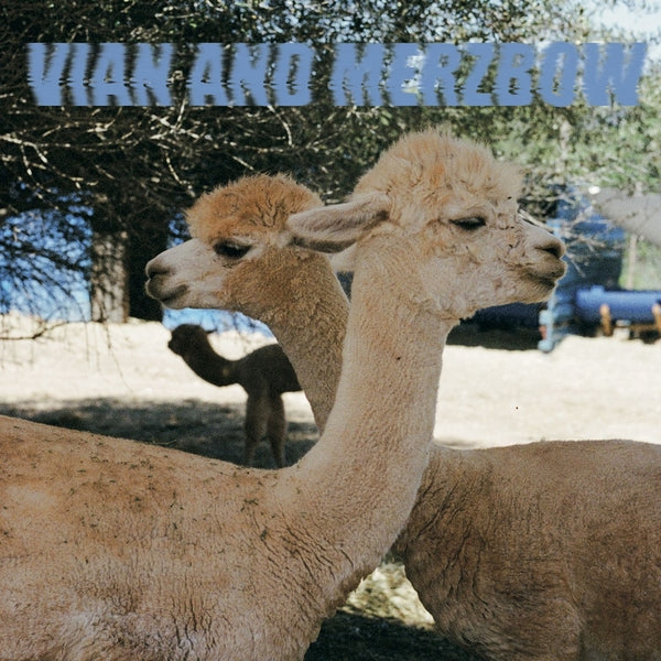 PEDRO VIAN & MERZBOW - Inside Richard Serra Sculptures Vinyl LP