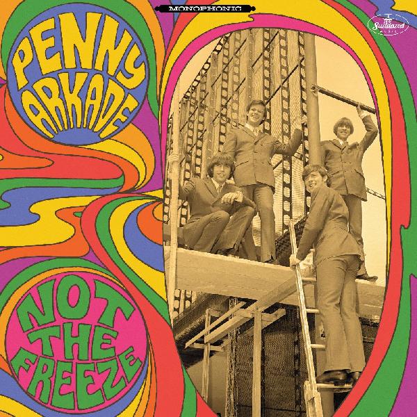 Penny Arkade - Not The Freeze (GREEN & PURPLE VINYL) Vinyl 2LP Green & Purple Vinyl