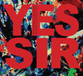 PENNY RIMBAUD'S L'ACADEMIE DES VANITES - Yes Sir, The Truth Of Revolution CD CD