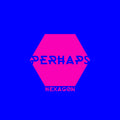 PERHAPS - Hexagon Vinyl LP