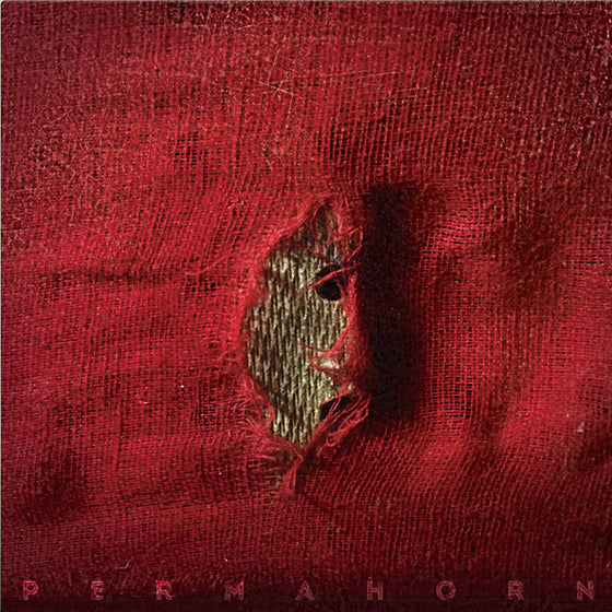 PERMAHORN - My Blood Carries My Dreams Away CD