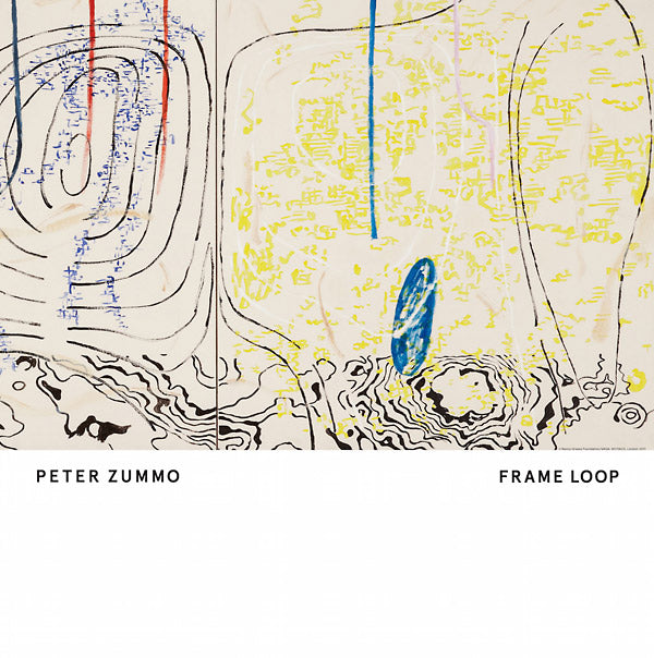 PETER ZUMMO - Frame Loop Vinyl LP