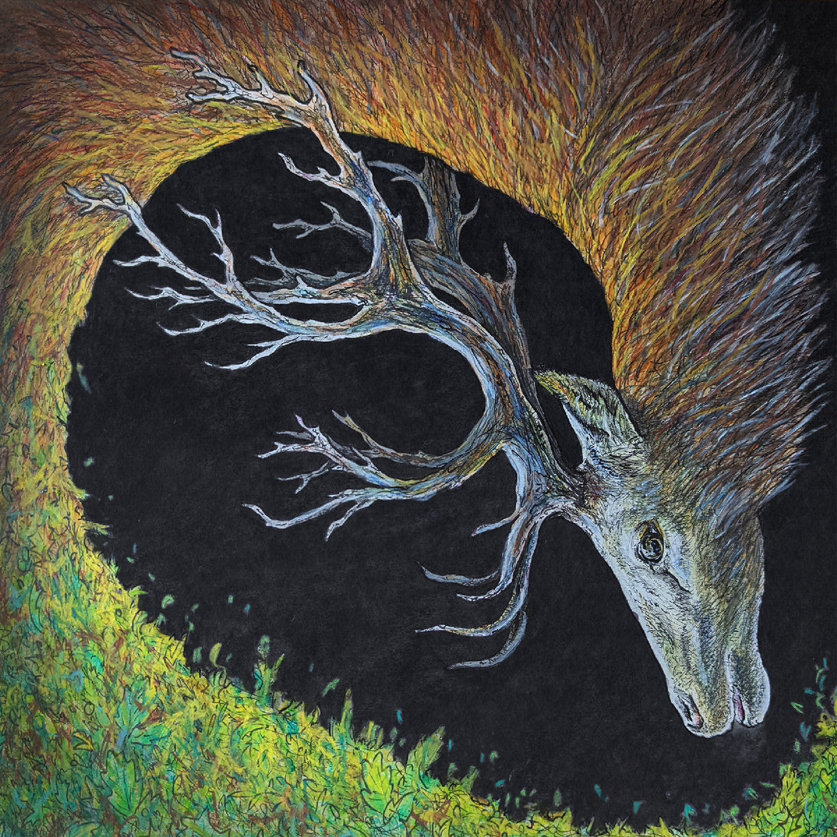 Petrels - Infangthief (Deluxe Edition, Clear Black Smoke Vinyl) Vinyl