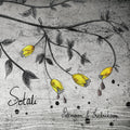 Pettersson & Fredriksson - Sotali CD CD, Digipak, Die-Cut Cover