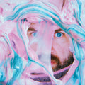 Pictish Trail - Life Slime CD