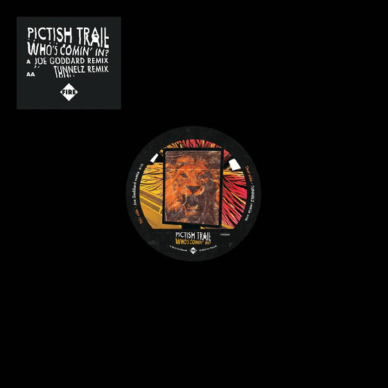 Pictish Trail - Who's Comin' In? Vinyl 12" Vinyl Single