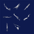PIERCE WARNECKE - Memory Fragments CD CD