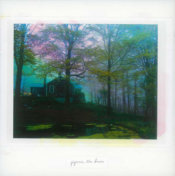 PIGEONS - The Bower Vinyl LP