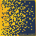 Pinegrove - Marigold Vinyl Jacket LP