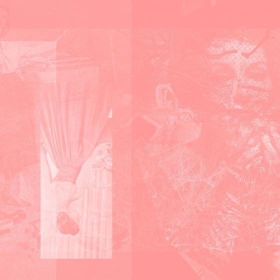 PINKCOURTESYPHONE - Arise In Sinking Feelings CD