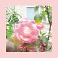 Pinks & Purples Reds - Summer At Land's End CD CD