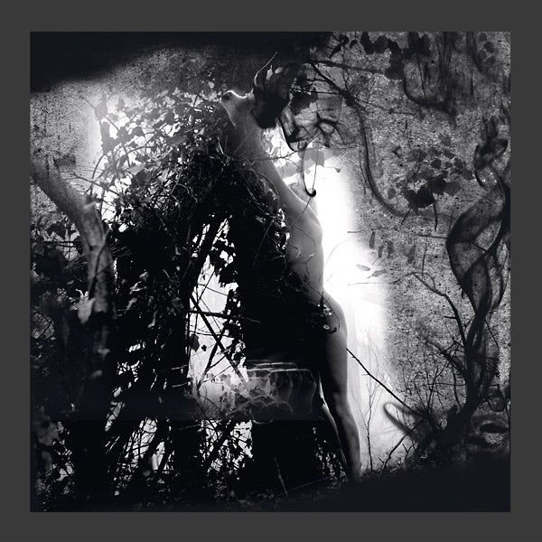 PISETZKY - Tears Of A Rough Machine Vinyl 2x12"