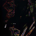 PITA - Get In Vinyl LP