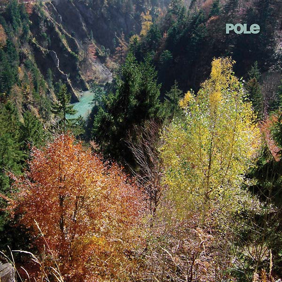 POLE - Wald CD