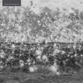 POST SCRIPTUM - Post Scriptum 01 CD CD