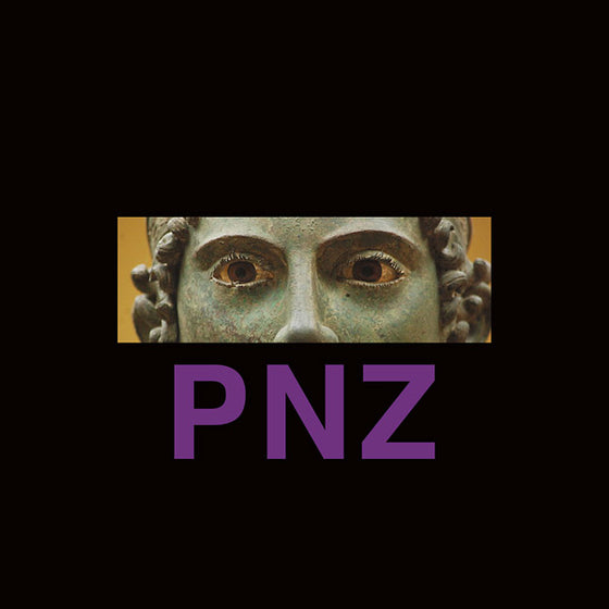 POTTER NATALIZIA ZEN - Shut Your Eyes On The Way Out Vinyl LP