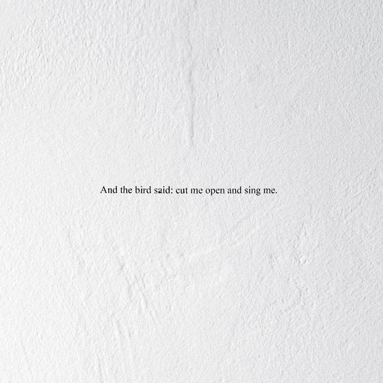 Prairie - And the Bird Said: Cut Me Open and Sing Me Vinyl LP [w/ download card, 180g vinyl]