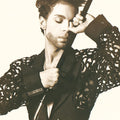 Prince - The Hits 1 [Explicit Content] (150 Gram Vinyl) (2 Lp's) Vinyl