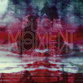 PUCE MOMENT - Puce Moment Vinyl 2LP