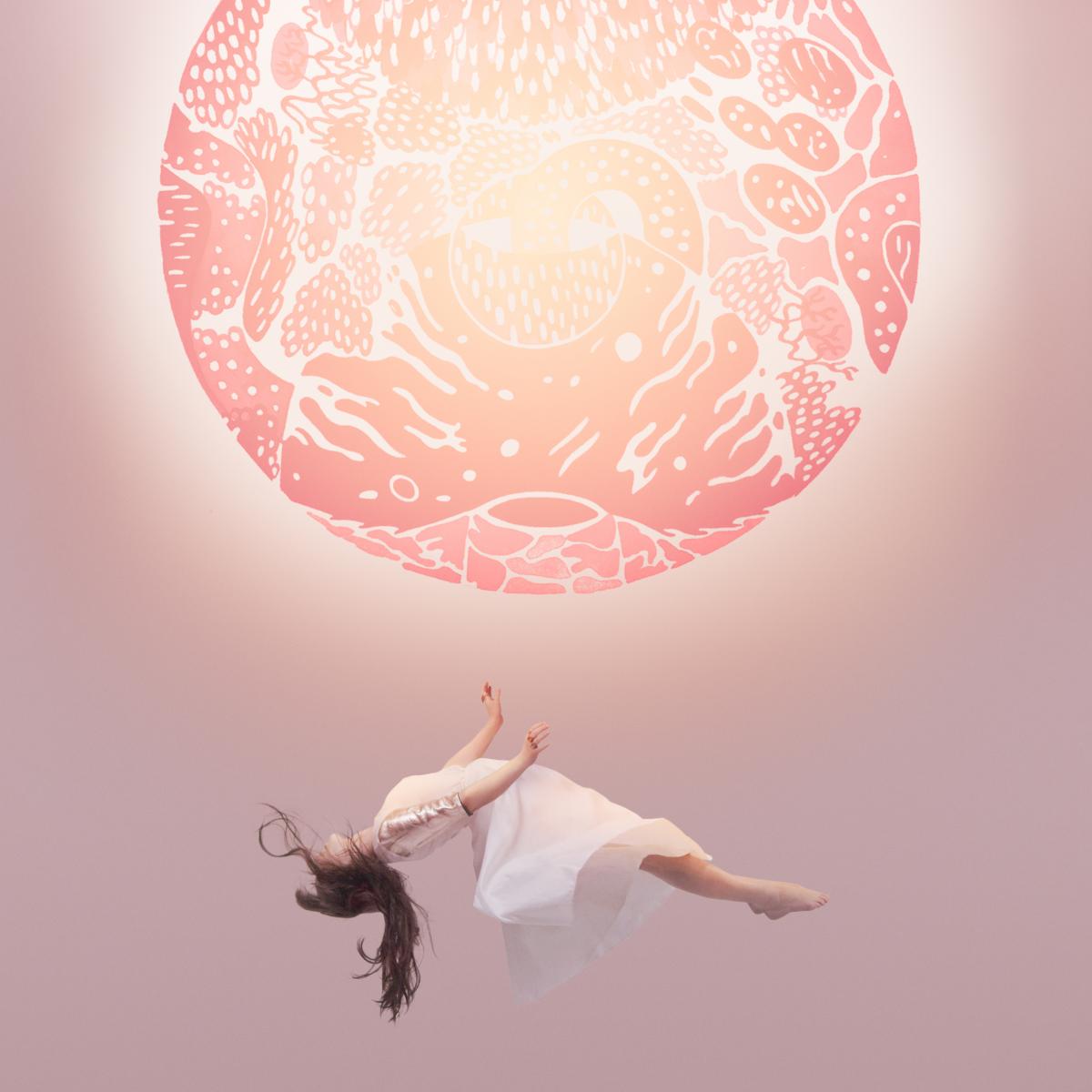 Purity Ring - another eternity Vinyl LP standard Jacket