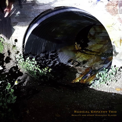RADICAL EMPATHY TRIO - Reality and Other Imaginary Places CD CD