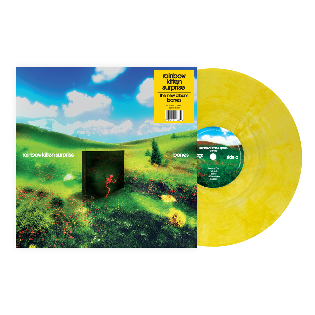 Rainbow Kitten Surprise - Bones (Indie Exclusive Banana Vinyl) Vinyl
