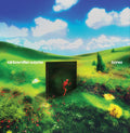 Rainbow Kitten Surprise - Bones (Standard Black Vinyl) Vinyl