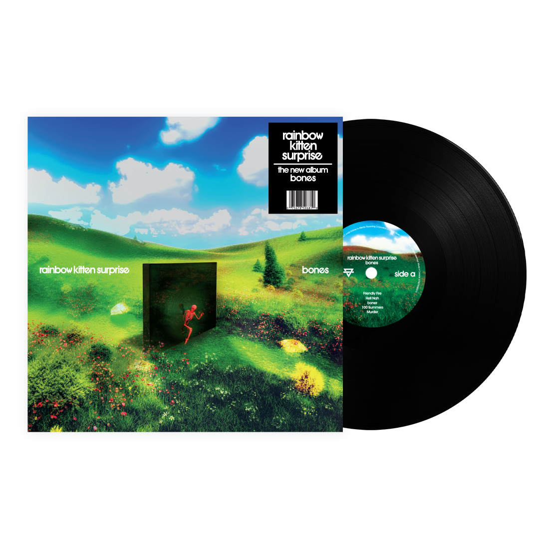 Rainbow Kitten Surprise - Bones (Standard Black Vinyl) Vinyl