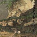 RAINFOREST SPIRITUAL ENSLAVEMENT - Flying Fish Ambience CD CD