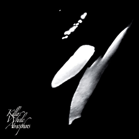 RAINFOREST SPIRITUAL ENSLAVEMENT - Killer Whale Atmospheres Vinyl 2LP