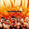 RAMMSTEIN - Herzeleid (Limited Edition, 180 Gram Vinyl) (2 Lp's) Vinyl