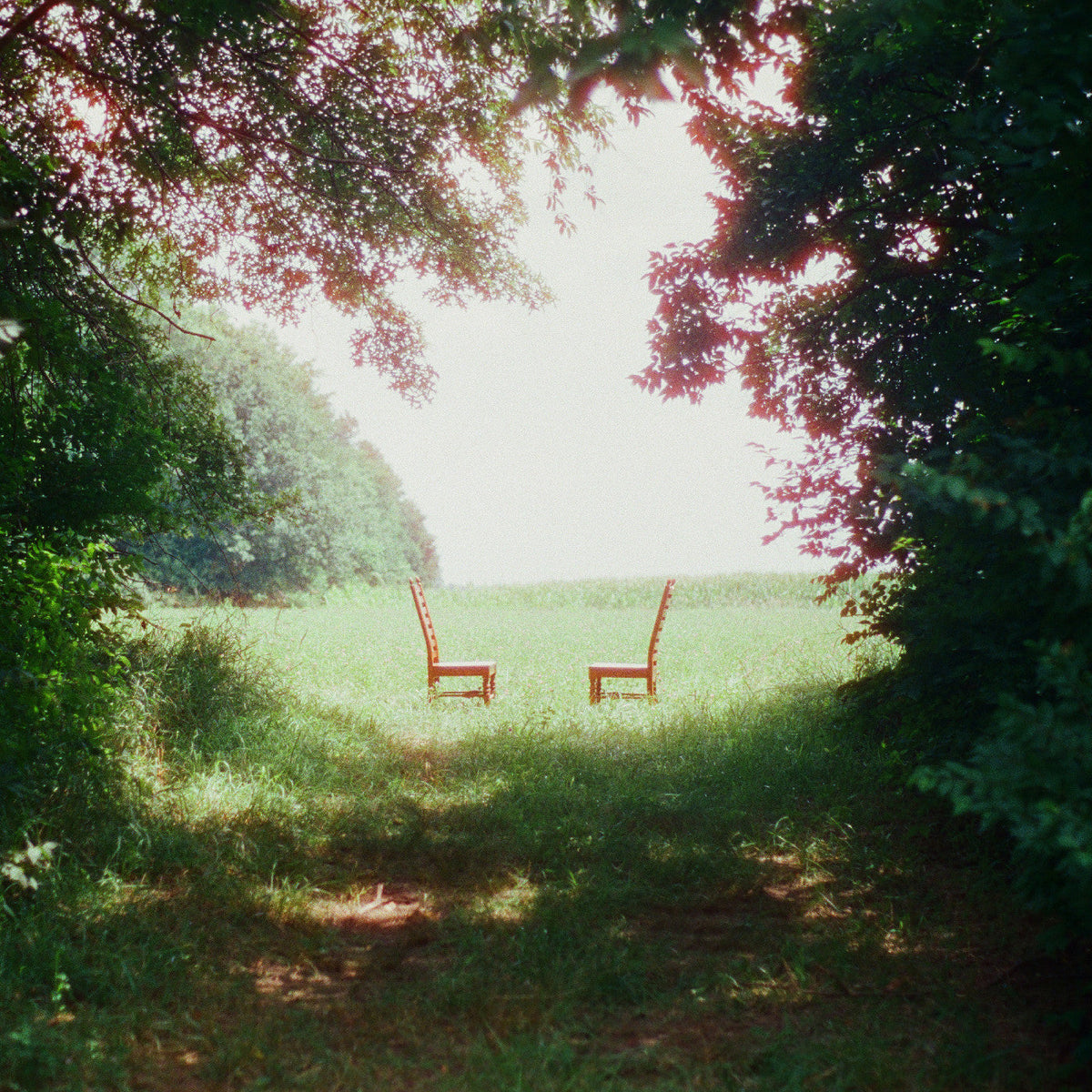 Ratboys - Singin' To An Empty Chair (Indie Exclusive) Vinyl