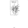 RATS - C'est Disco Vinyl LP