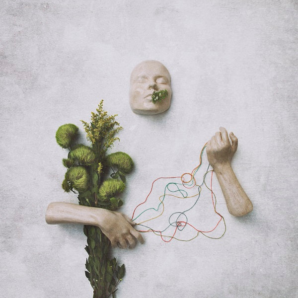 red steppes - A Mouth May Grow Vinyl Standard LP