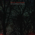 Rhys Chatham - Pythagorean Dream Vinyl LP