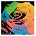 Rick Rude - Verb For Dreaming Vinyl LP