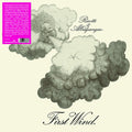 RICOTTI & ALBUQUERQUE - First Wind Vinyl LP