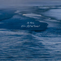 RIP HAYMAN - Waves: Real and Imagined Vinyl LP