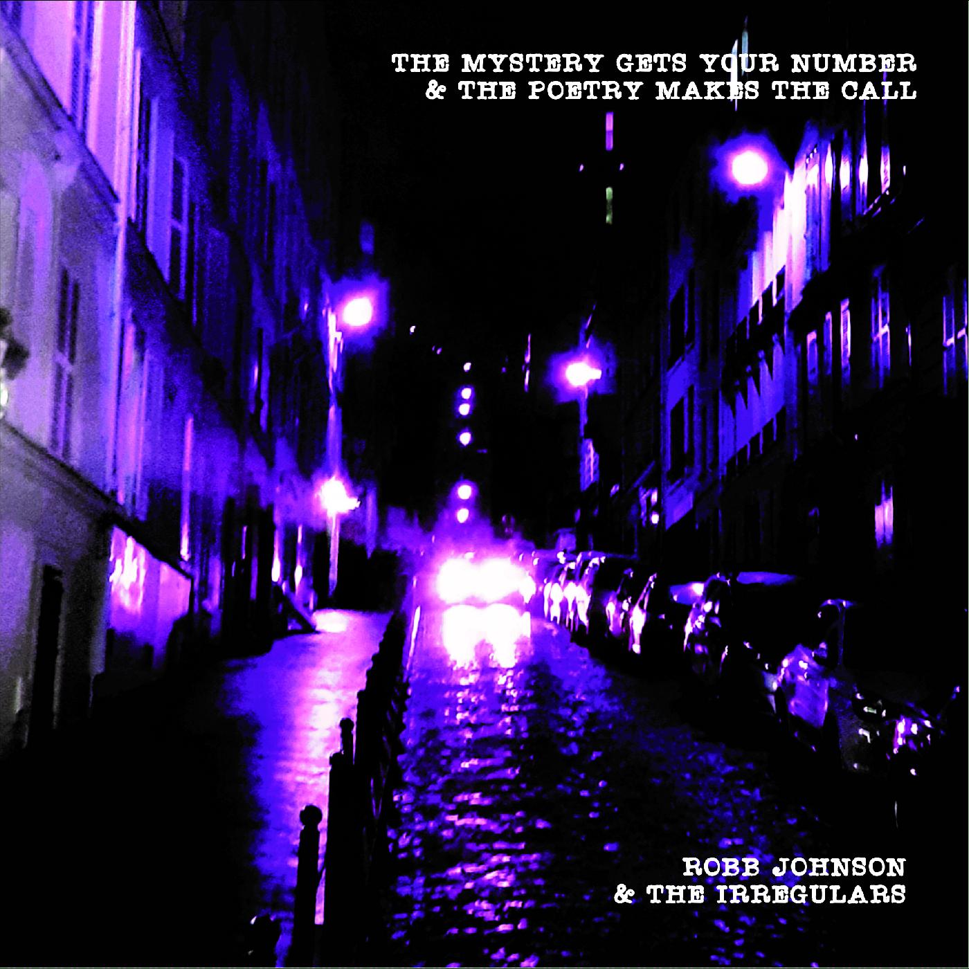 Robb & the Irregulars Johnson - The Mystery Gets Your Number & the Poetry Makes the Call Vinyl LP
